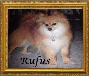 Rufus. 2000-2015